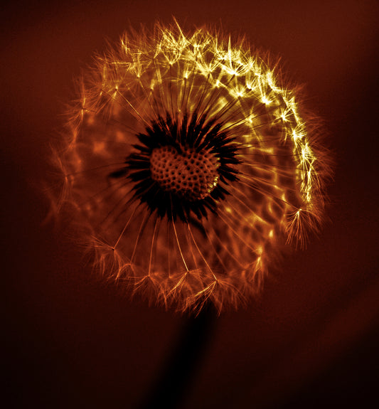 Glow