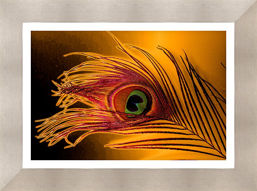 Framed Print