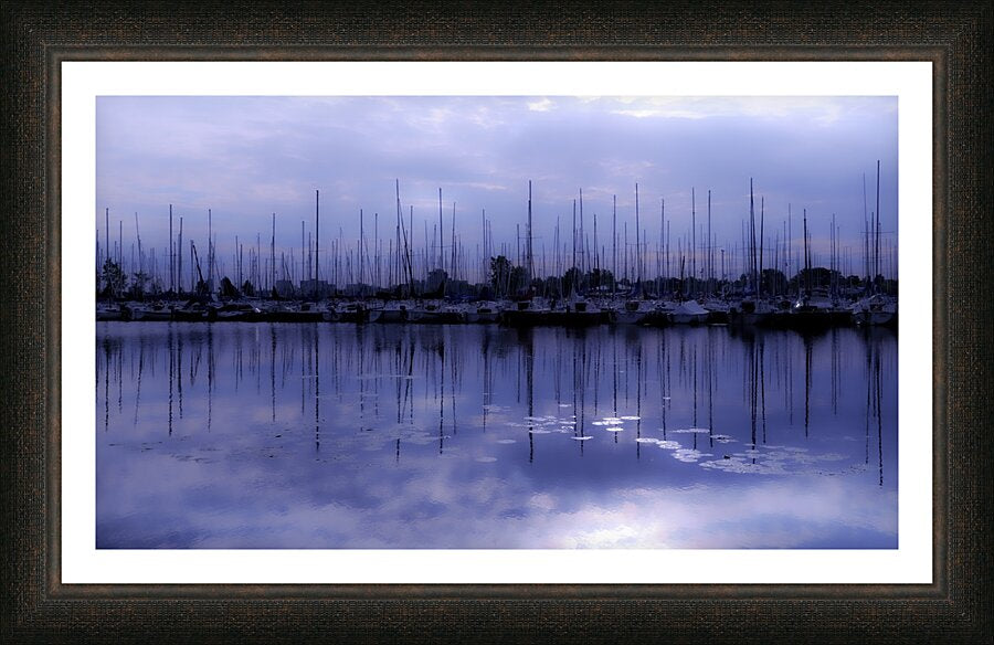 Framed Print