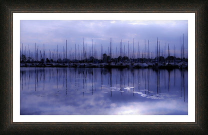 Framed Print