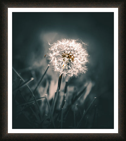 Framed Print