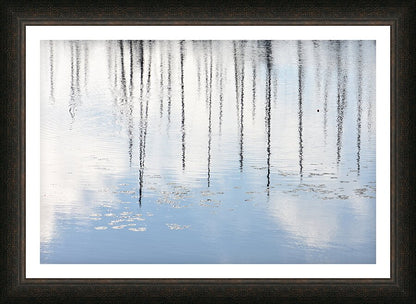 Framed Print