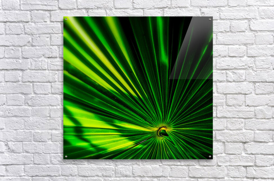 Acrylic Print