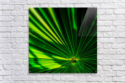 Acrylic Print
