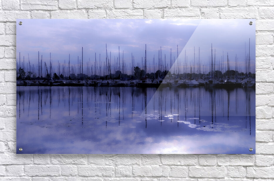 Acrylic Print