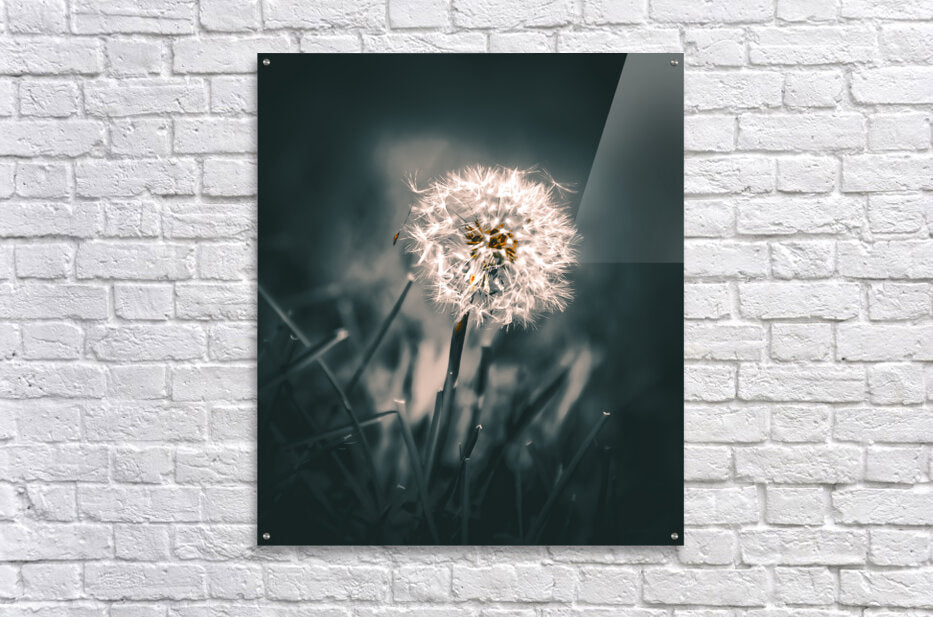 Acrylic Print