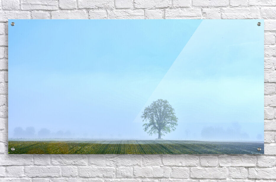 Acrylic Print