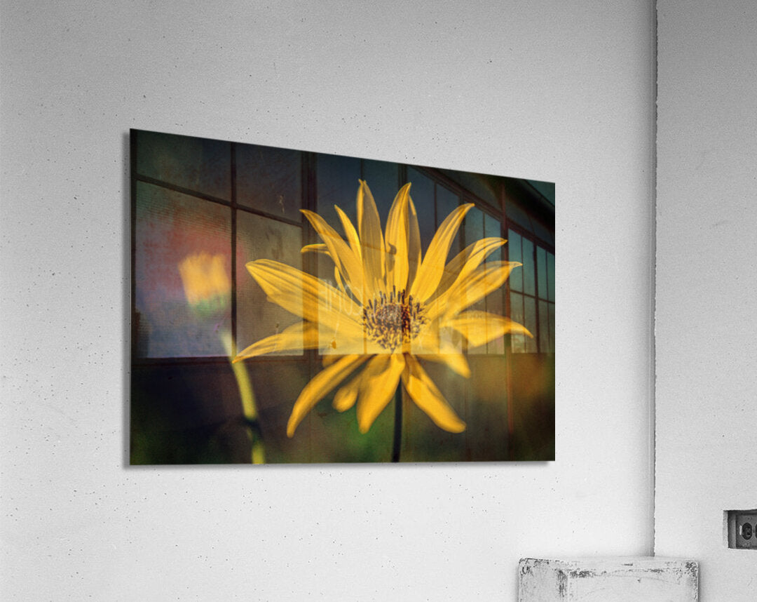 Acrylic Print