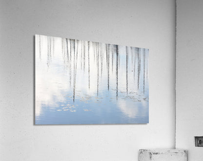 Acrylic Print