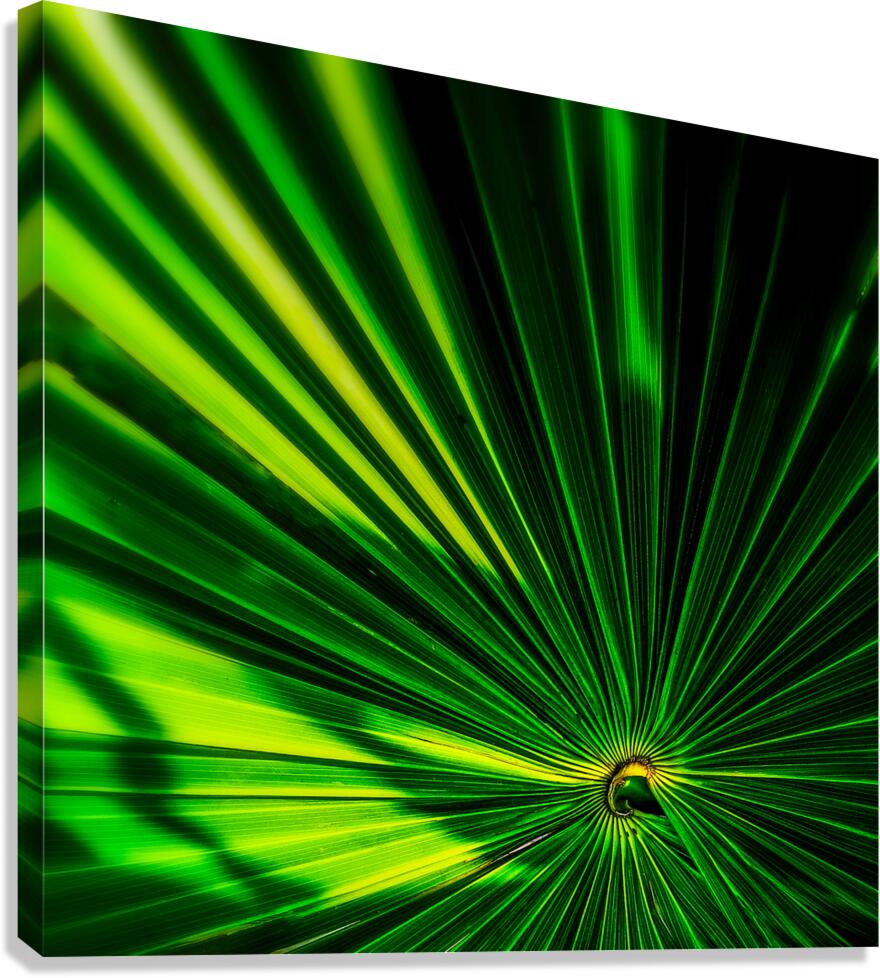 Giclée Stretched Canvas Print