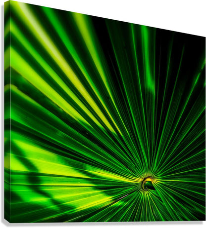 Giclée Stretched Canvas Print