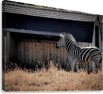 Giclée Stretched Canvas Print