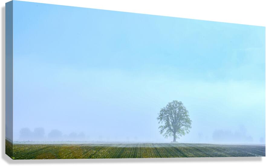 Giclée Stretched Canvas Print