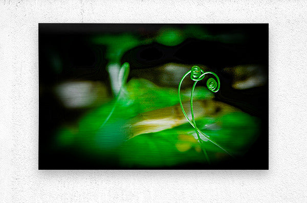 Brushed Metal Print