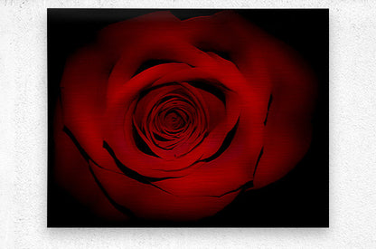 Brushed Metal Print