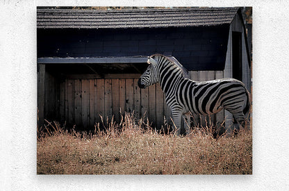 Brushed Metal Print