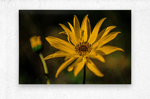 Brushed Metal Print
