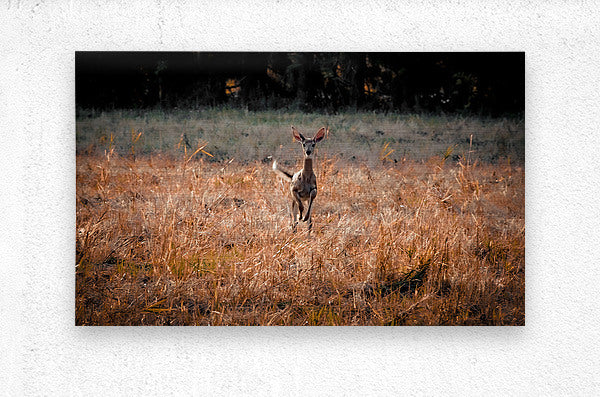 Brushed Metal Print