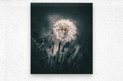 Brushed Metal Print