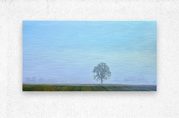 Brushed Metal Print