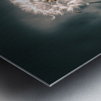 Brushed Metal Print