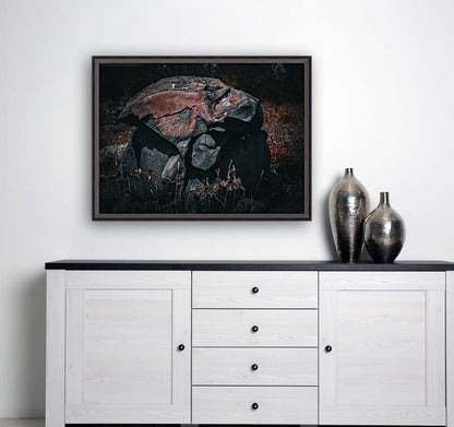 Pirate Rock